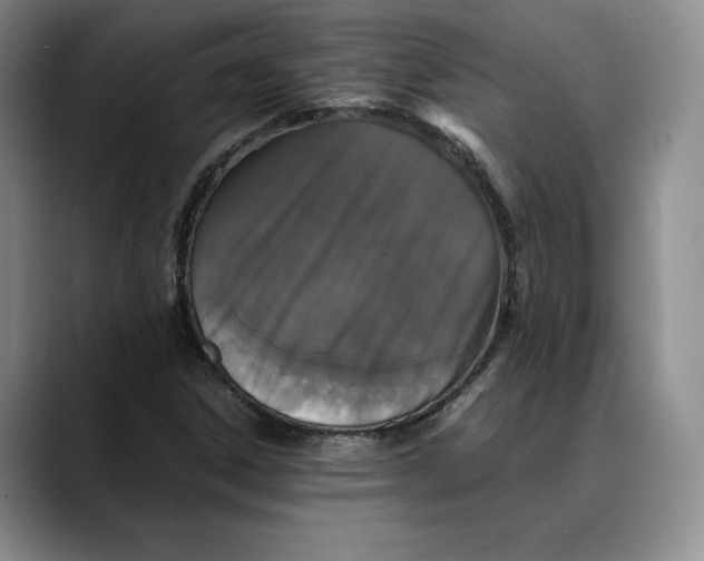 X0000088481306200706121523