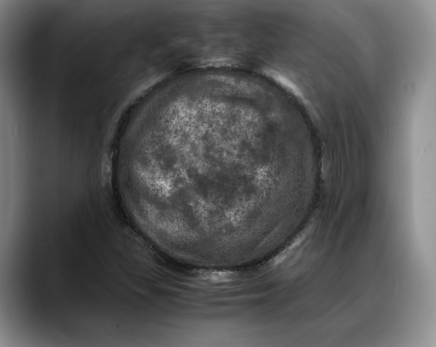X0000088481309200706121523