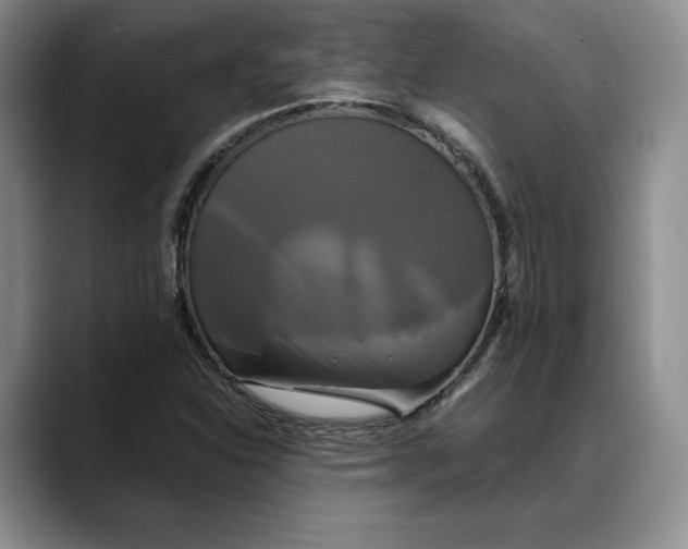 X0000088481310200706121523