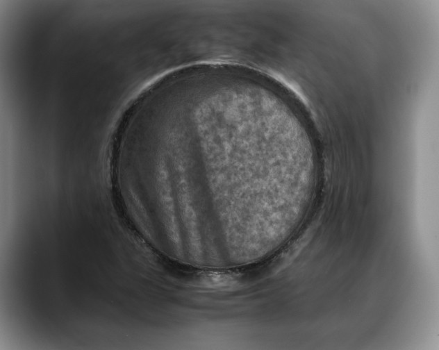 X0000088481311200706121523