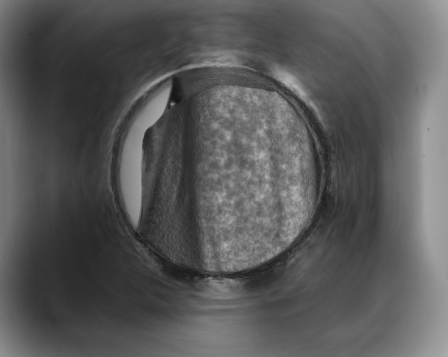 X0000088481312200706121523