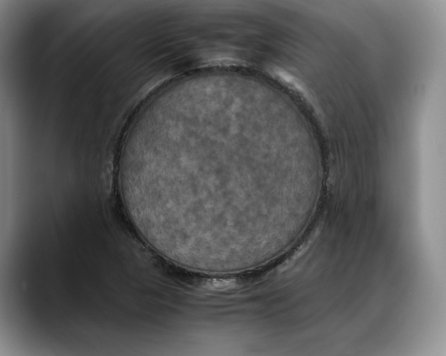 X0000088481313200706121523