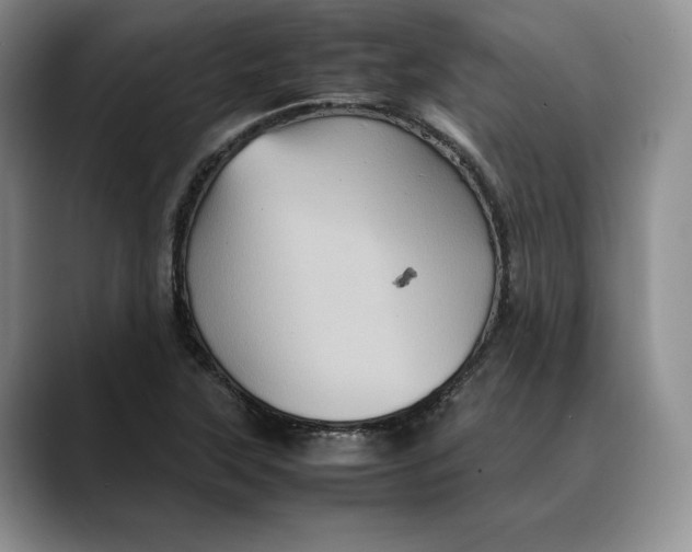 X0000088481315200706121524
