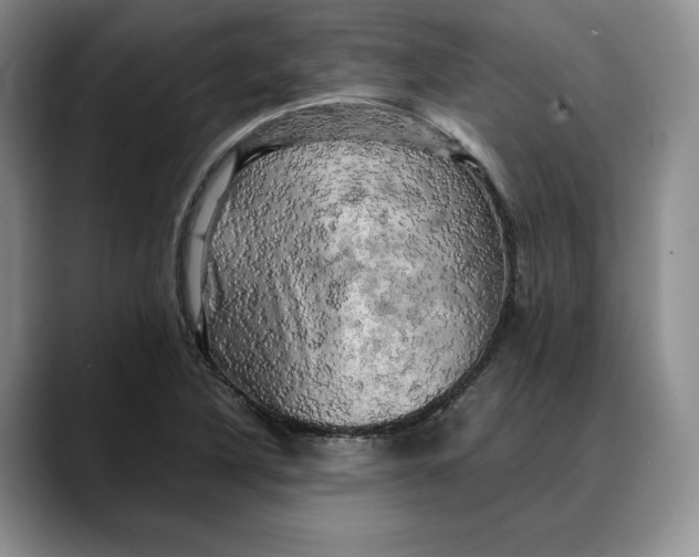 X0000088481316200706121524