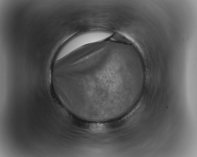 X0000088481317200706121524