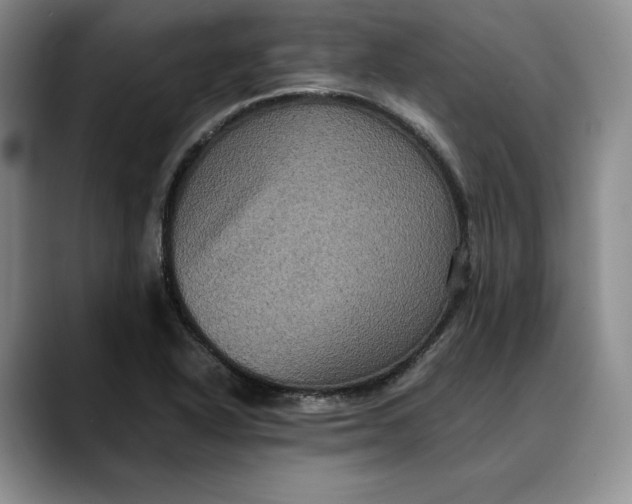 X0000088481318200706121524