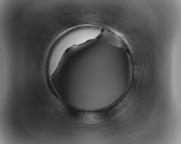 X0000088481319200706121524