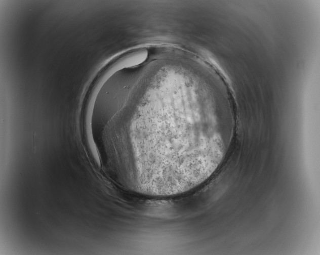 X0000088481320200706121524