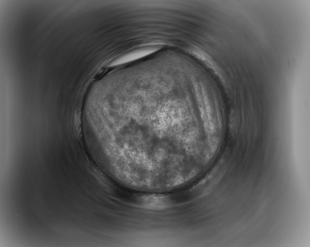 X0000088481321200706121524