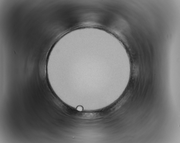 X0000088481322200706121524