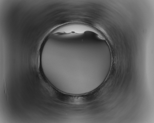 X0000088481323200706121524