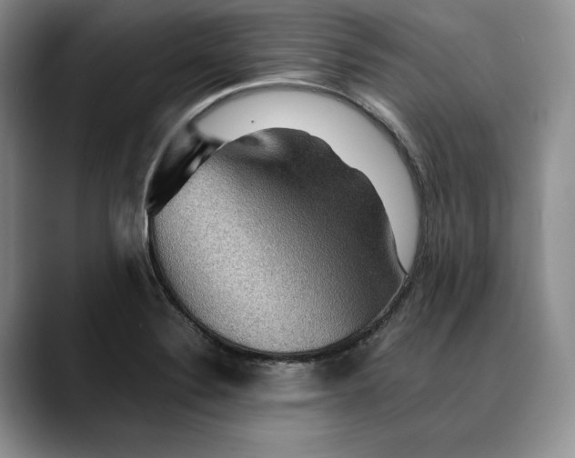 X0000088481324200706121524