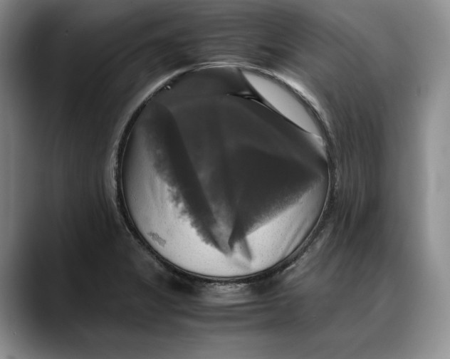 X0000088481325200706121524