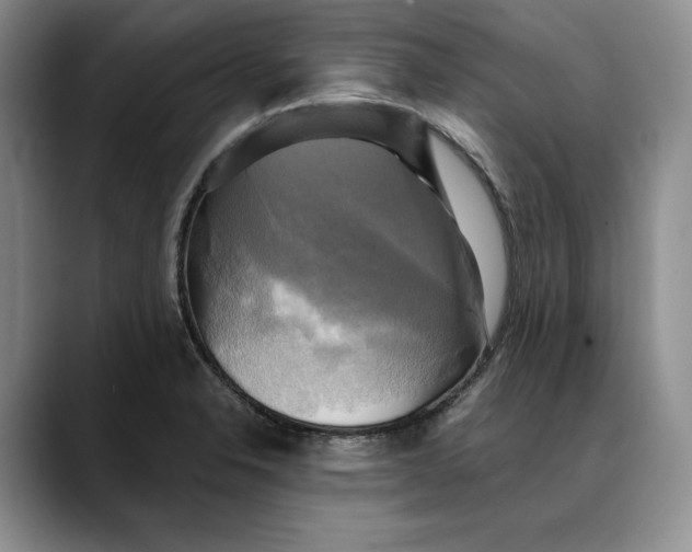 X0000088481326200706121524
