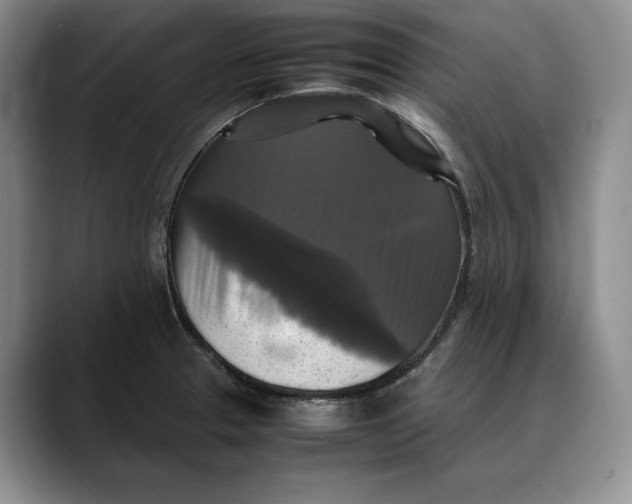 X0000088481329200706121524
