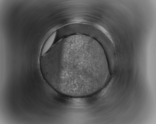 X0000088481330200706121524