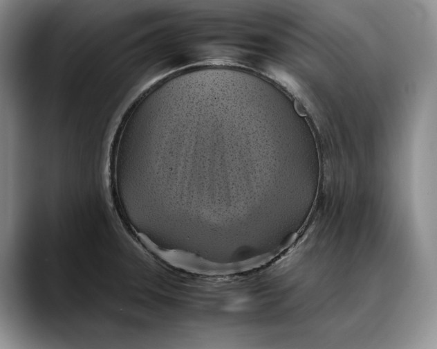 X0000088481331200706121524