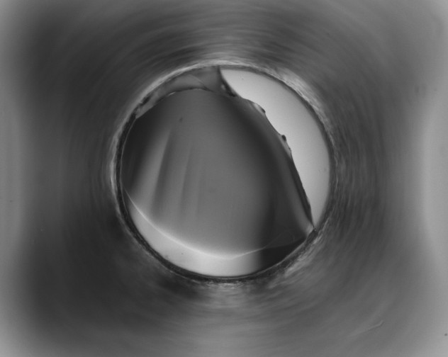 X0000088481334200706121524