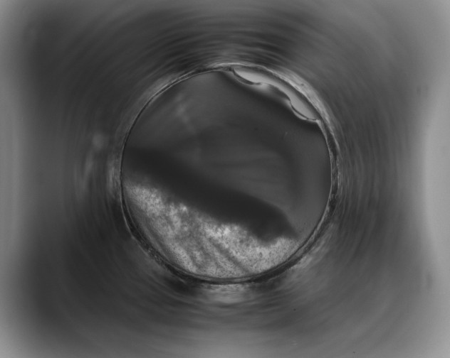 X0000088481337200706121524