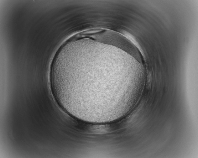 X0000088481339200706121524