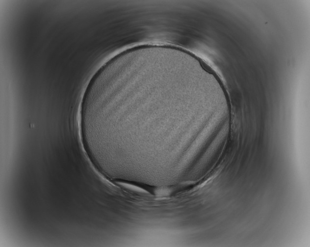X0000088481343200706121524