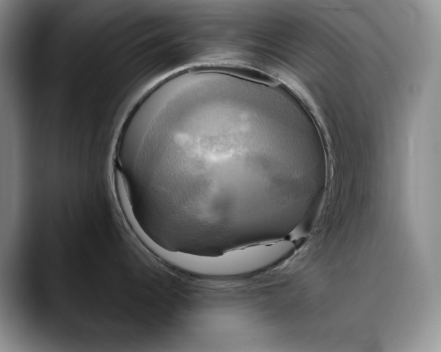 X0000088481344200706121524