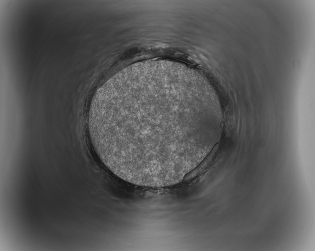X0000088481345200706121523
