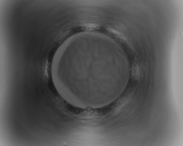 X0000088481346200706121523