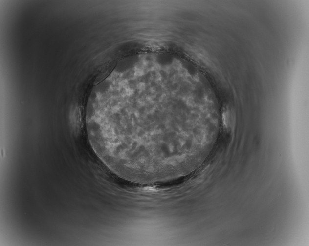 X0000088481347200706121523