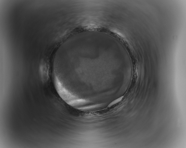 X0000088481348200706121523