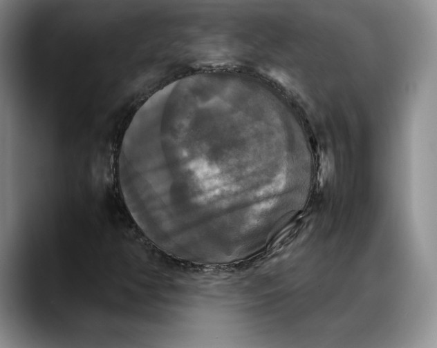 X0000088481350200706121523