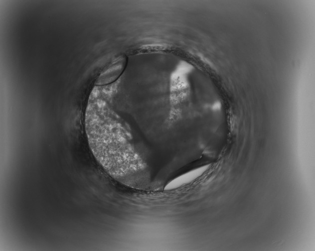 X0000088481351200706121523