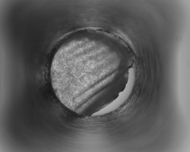 X0000088481352200706121523