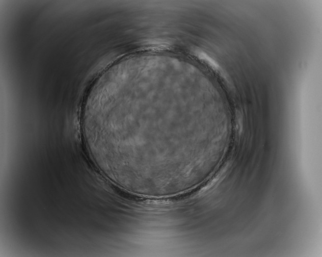 X0000088481354200706121523