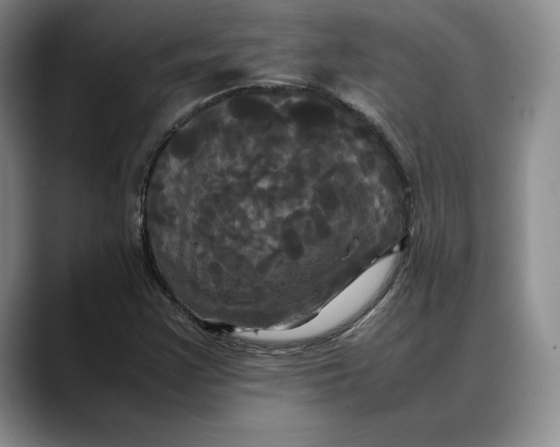 X0000088481355200706121523