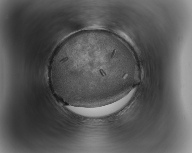 X0000088481356200706121523
