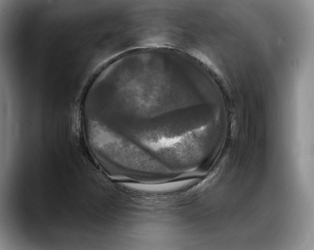 X0000088481358200706121523