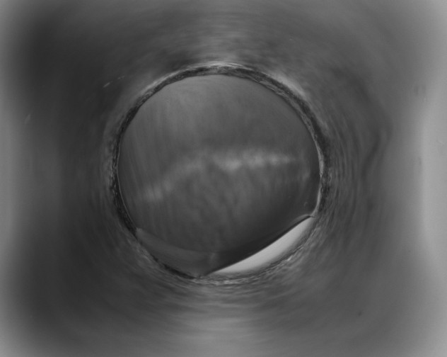 X0000088481359200706121523