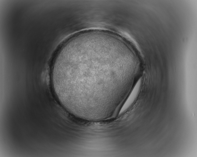 X0000088481360200706121523