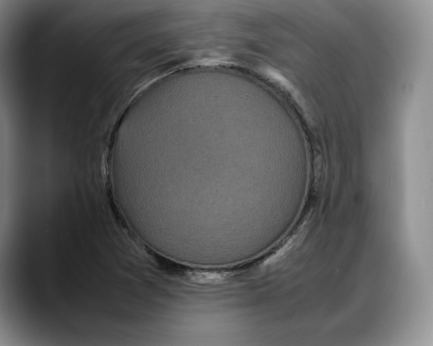 X0000088481361200706121523