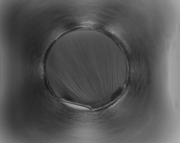 X0000088481362200706121523
