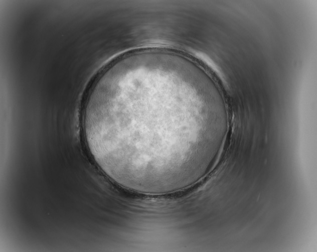 X0000088481364200706121523