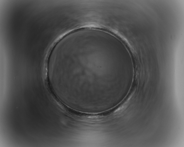 X0000088481367200706121523