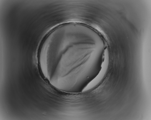 X0000088481372200706121523