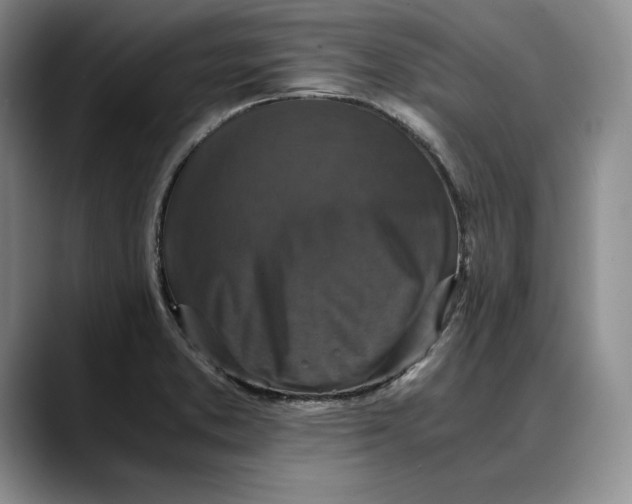X0000088481373200706121523