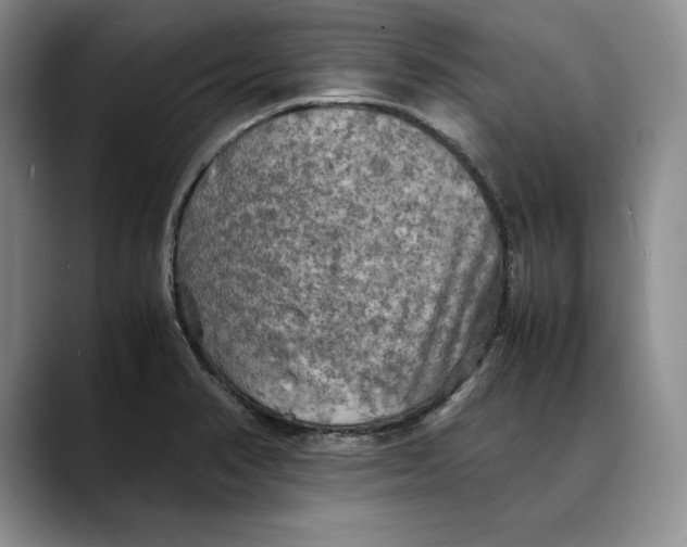 X0000088481374200706121523