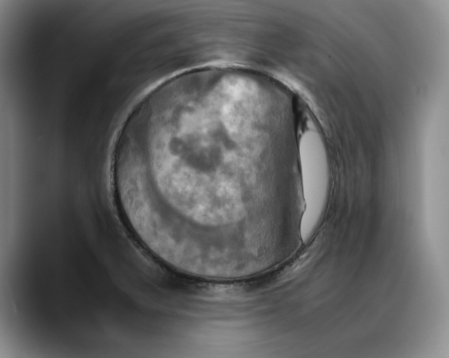 X0000088481375200706121523