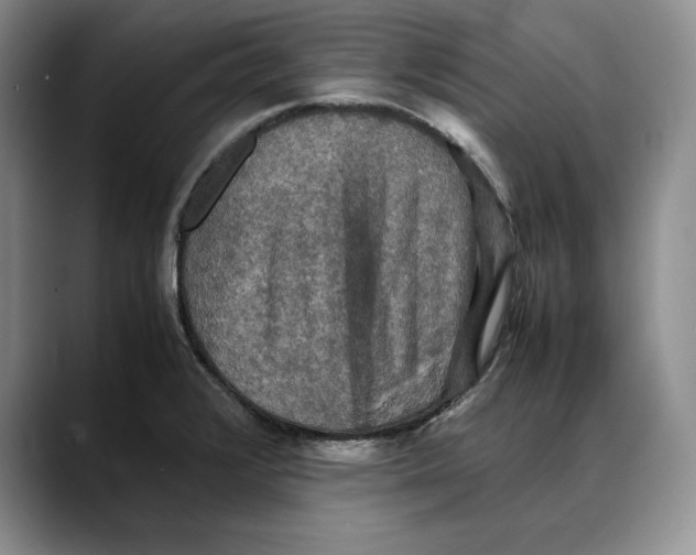 X0000088481376200706121523