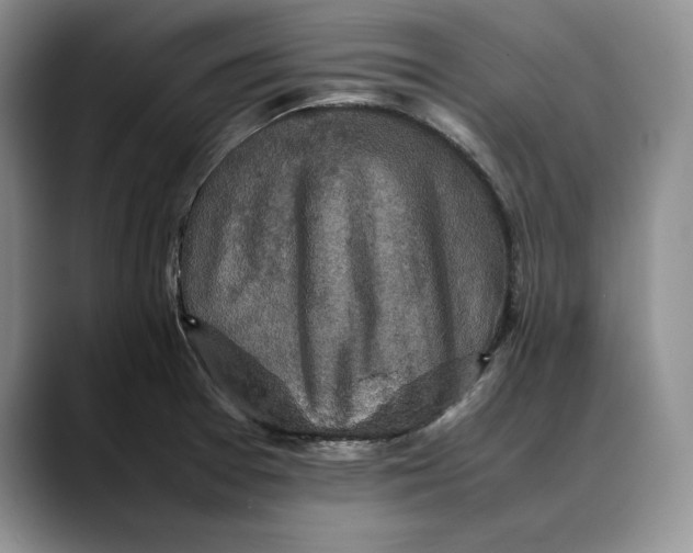 X0000088481377200706121523