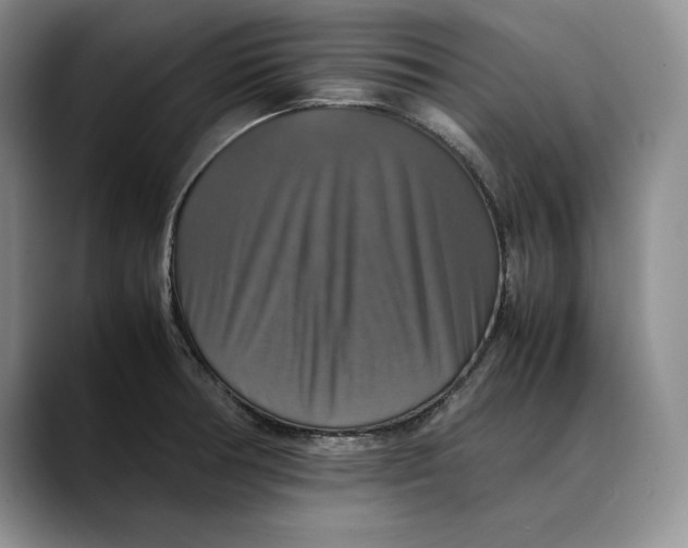 X0000088481378200706121523
